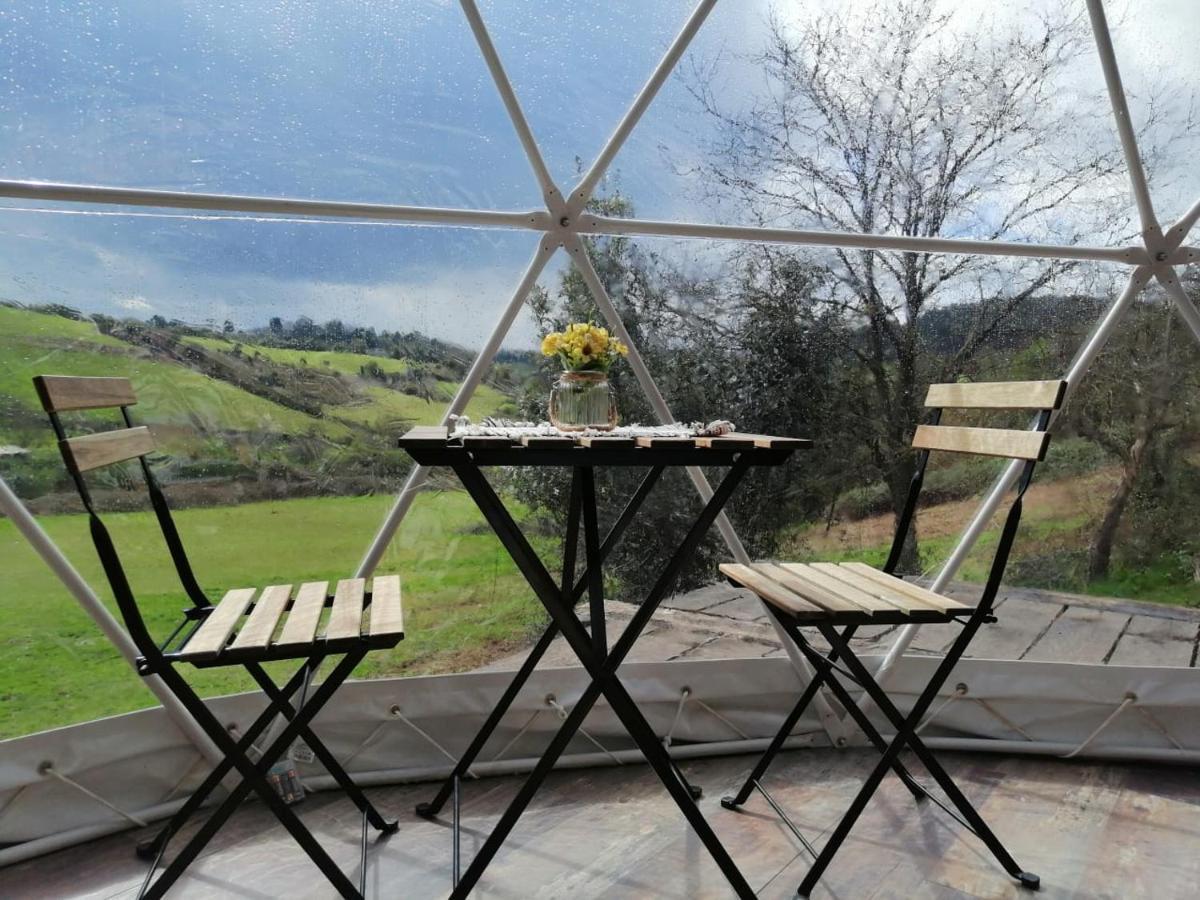 Glamping Quintana Hotel Gijón Buitenkant foto